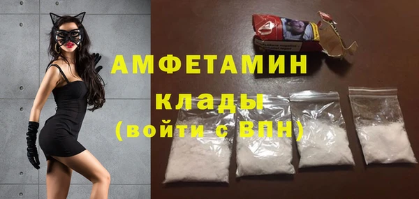 крисы Абаза