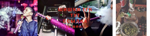 крисы Абаза