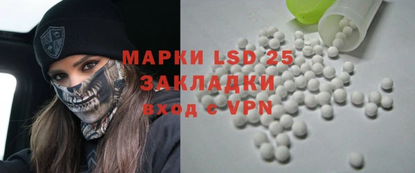 крисы Абаза