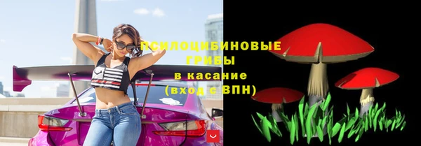 крисы Абаза