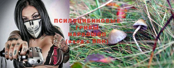 крисы Абинск