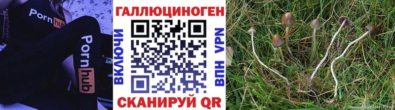 Галлюциногенные грибы ЛСД  Инсар 